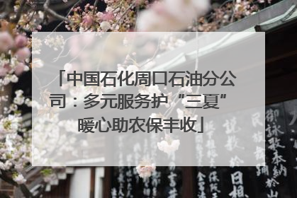 中国石化周口石油分公司：多元服务护“三夏” 暖心助农保丰收