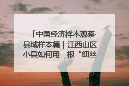 中国经济样本观察·县域样本篇｜江西山区小县如何用一根“细丝”拉出百亿级产业？