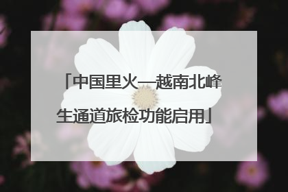 中国里火—越南北峰生通道旅检功能启用