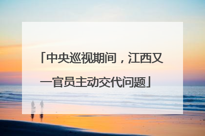 中央巡视期间，江西又一官员主动交代问题