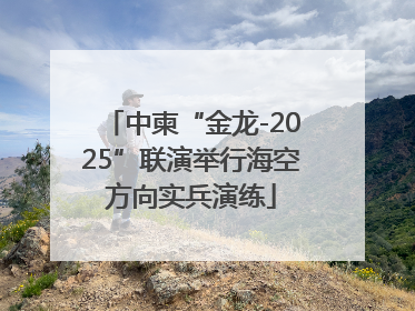 中柬“金龙-2025”联演举行海空方向实兵演练