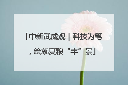 中新武威观｜科技为笔，绘就夏粮“丰”景