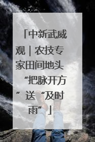 中新武威观｜农技专家田间地头“把脉开方”送“及时雨”