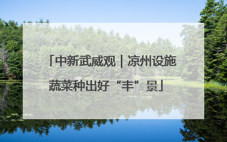 中新武威观｜凉州设施蔬菜种出好“丰”景