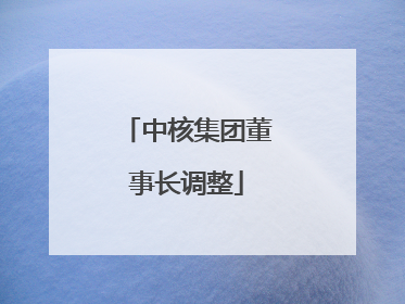 中核集团董事长调整