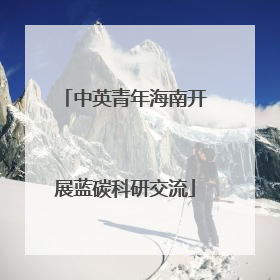 中英青年海南开展蓝碳科研交流