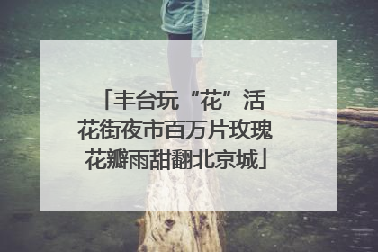 丰台玩“花”活 花街夜市百万片玫瑰花瓣雨甜翻北京城