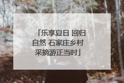 乐享夏日 回归自然 石家庄乡村采摘游正当时