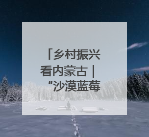 乡村振兴看内蒙古｜“沙漠蓝莓”种出紫色未来