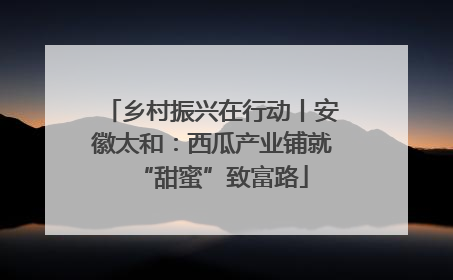 乡村振兴在行动丨安徽太和：西瓜产业铺就“甜蜜”致富路