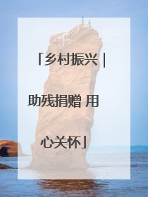 乡村振兴｜助残捐赠 用心关怀