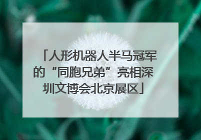 人形机器人半马冠军的“同胞兄弟”亮相深圳文博会北京展区