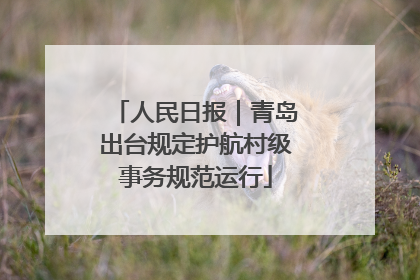 人民日报｜青岛出台规定护航村级事务规范运行
