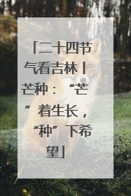 二十四节气看吉林丨芒种：“芒”着生长，“种”下希望