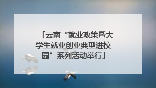 云南“就业政策暨大学生就业创业典型进校园”系列活动举行