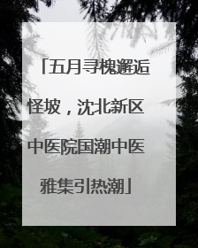 五月寻槐邂逅怪坡，沈北新区中医院国潮中医雅集引热潮