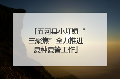五河县小圩镇“三聚焦”全力推进夏种夏管工作