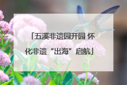 五溪非遗园开园 怀化非遗“出海”启航
