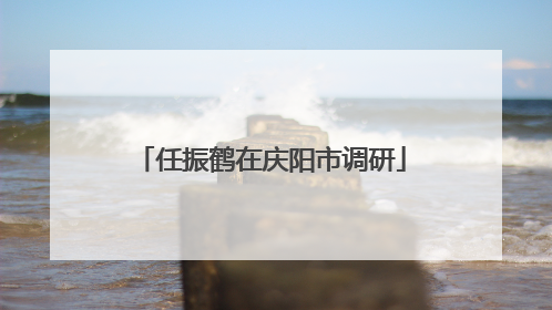 任振鹤在庆阳市调研