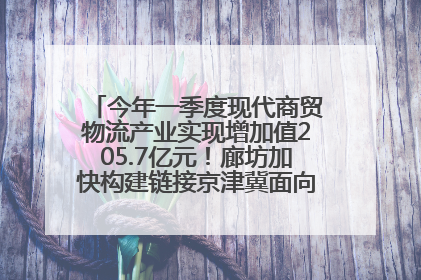 今年一季度现代商贸物流产业实现增加值205.7亿元！廊坊加快构建链接京津冀面向全世界的物流通道