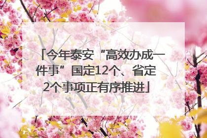 今年泰安“高效办成一件事”国定12个、省定2个事项正有序推进