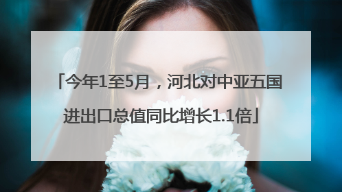 今年1至5月，河北对中亚五国进出口总值同比增长1.1倍
