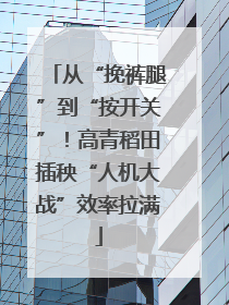 从“挽裤腿”到“按开关”！高青稻田插秧“人机大战”效率拉满