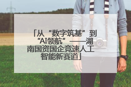 从“数字筑基”到“AI领航”——湖南国资国企竞速人工智能新赛道