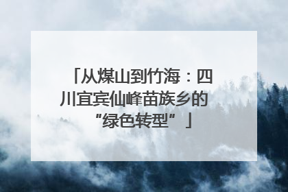 从煤山到竹海：四川宜宾仙峰苗族乡的“绿色转型”