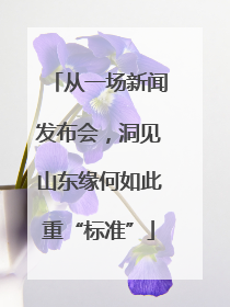 从一场新闻发布会，洞见山东缘何如此重“标准”