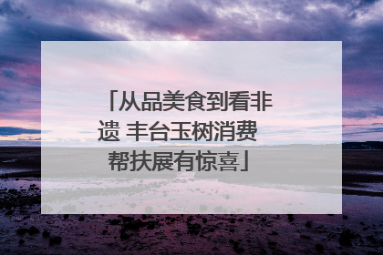 从品美食到看非遗 丰台玉树消费帮扶展有惊喜