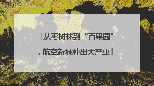 从枣树林到“百果园”，航空新城种出大产业