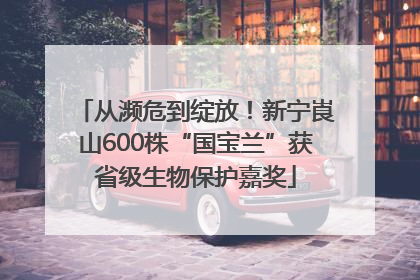 从濒危到绽放！新宁崀山600株“国宝兰”获省级生物保护嘉奖
