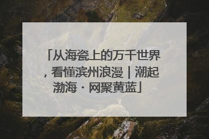 从海瓷上的万千世界，看懂滨州浪漫｜潮起渤海・网聚黄蓝