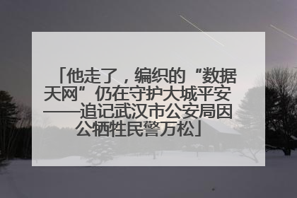 他走了，编织的“数据天网”仍在守护大城平安——追记武汉市公安局因公牺牲民警万松