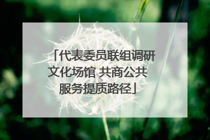 代表委员联组调研文化场馆 共商公共服务提质路径