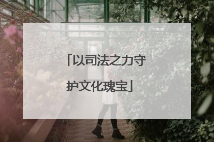 以司法之力守护文化瑰宝