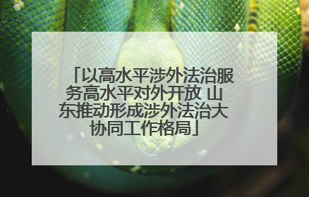 以高水平涉外法治服务高水平对外开放 山东推动形成涉外法治大协同工作格局