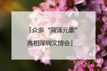 众多“菏泽元素”亮相深圳文博会