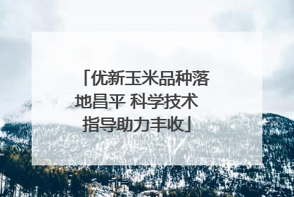 优新玉米品种落地昌平 科学技术指导助力丰收