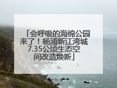 会呼吸的海绵公园来了！杨浦新江湾城7.35公顷生态空间改造焕新