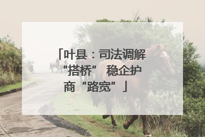 叶县：司法调解“搭桥” 稳企护商“路宽”