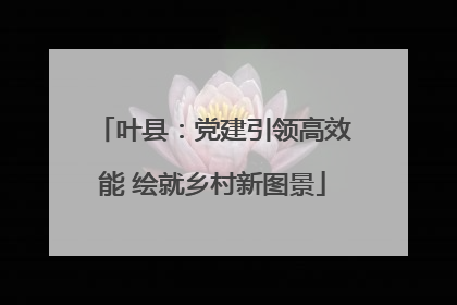 叶县：党建引领高效能 绘就乡村新图景