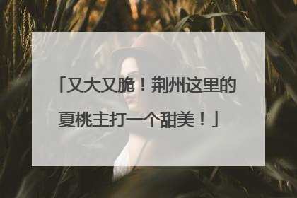 又大又脆！荆州这里的夏桃主打一个甜美！