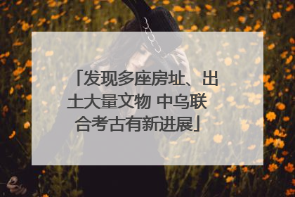 发现多座房址、出土大量文物 中乌联合考古有新进展