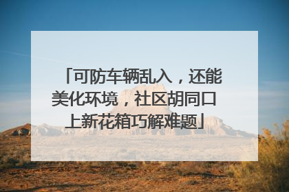 可防车辆乱入，还能美化环境，社区胡同口上新花箱巧解难题