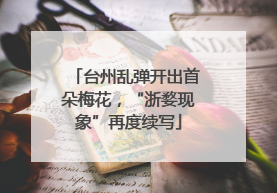 台州乱弹开出首朵梅花，“浙婺现象”再度续写