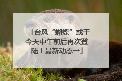 台风“蝴蝶”或于今天中午前后再次登陆！最新动态→