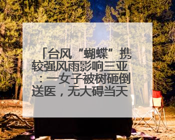 台风“蝴蝶”携较强风雨影响三亚：一女子被树砸倒送医，无大碍当天回家 当地已紧急清障