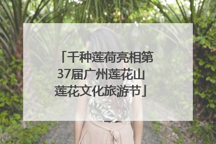 千种莲荷亮相第37届广州莲花山莲花文化旅游节